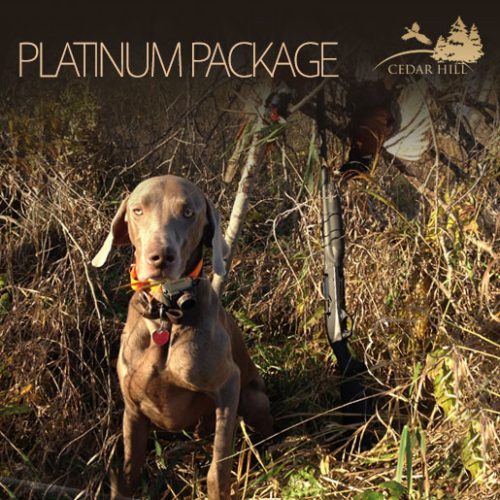 Platinum Package