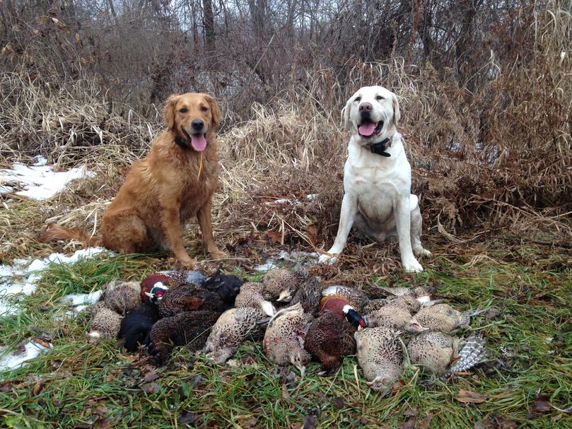 809_ben_and_max_2014 809_ben_and_max_2014