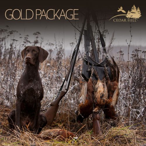 Gold Package