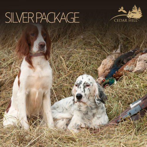 Silver Package