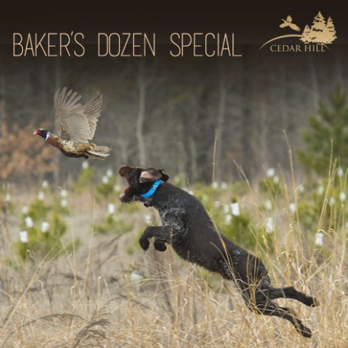 Bakers Dozen Special