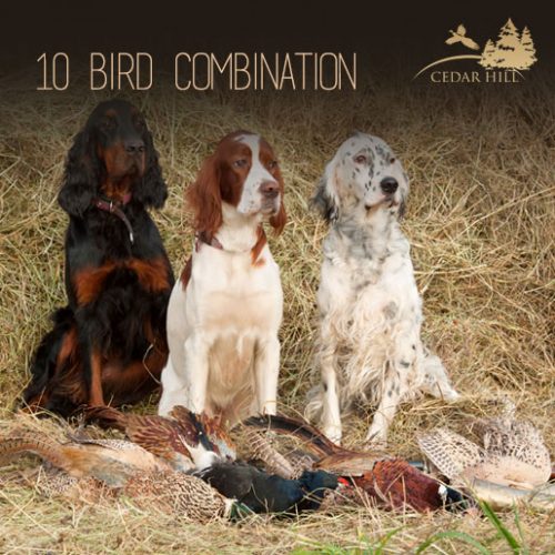 Ten Bird Combination Hunt