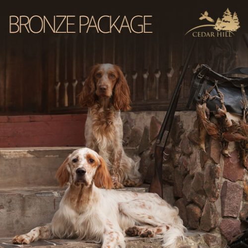 Bronze Package