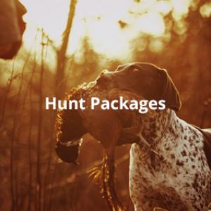 hunt_category-button