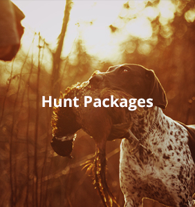 hunt_category-button