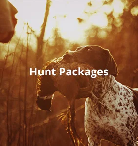 hunt_category-button